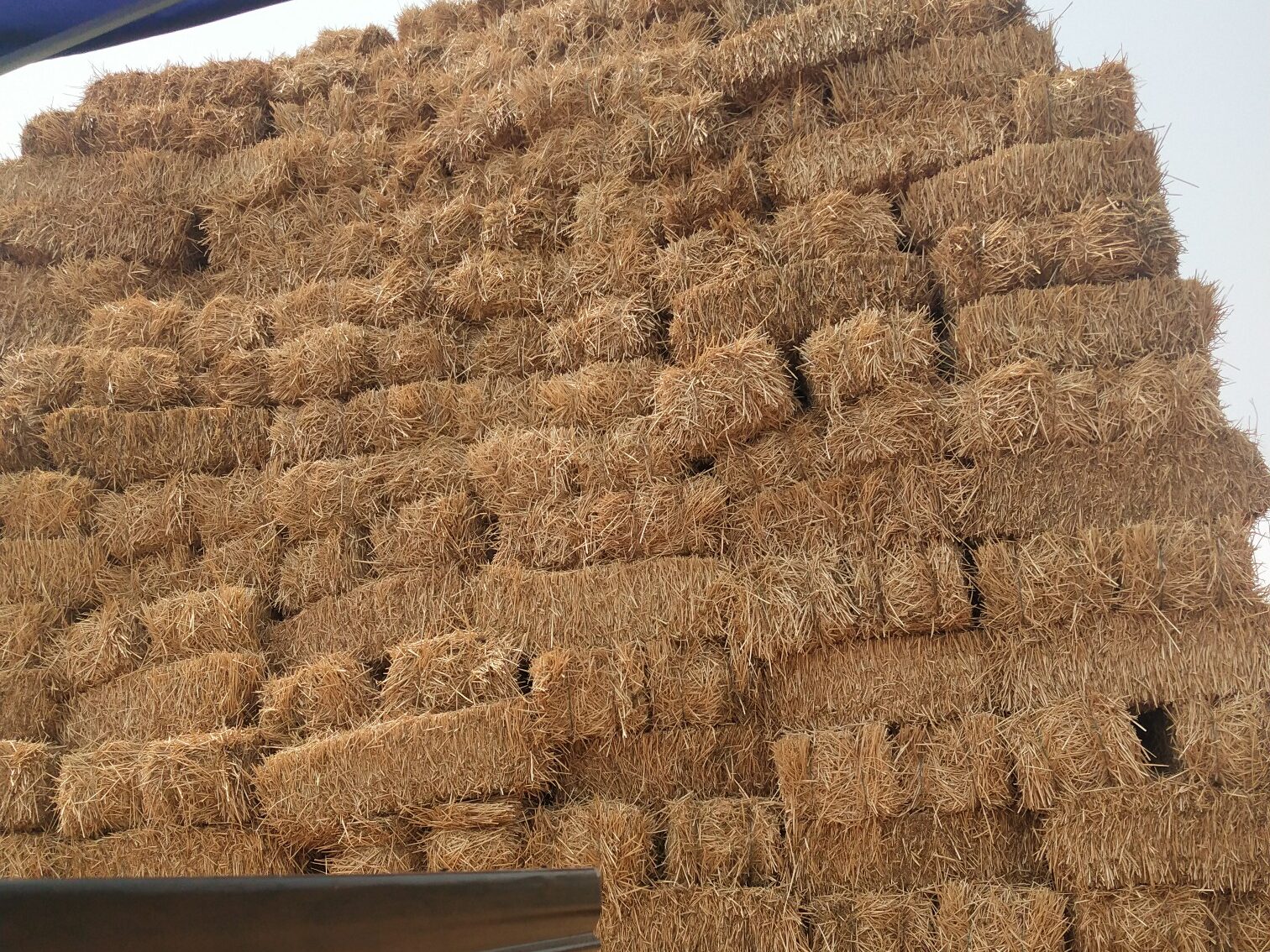 常见的多宝官网原料特点分析插图2